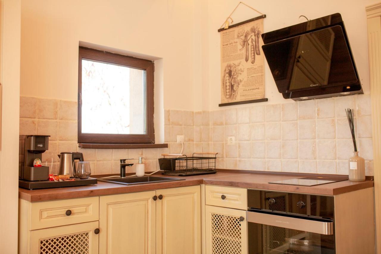 Private Villa Gergana 사파레바바냐 외부 사진